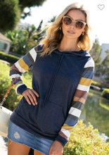 Load image into Gallery viewer, French Terry Multi Stripe Hoodie
