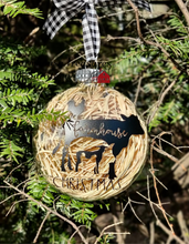 Load image into Gallery viewer, Farmhouse Christmas Ornament Set