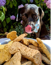 Load image into Gallery viewer, Organic Peanut Butter Dog Treats
