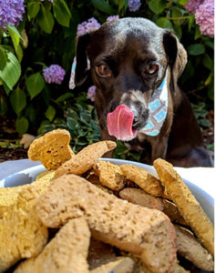 Organic Peanut Butter Dog Treats